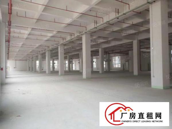  万江新出标准厂房一楼厂房出租