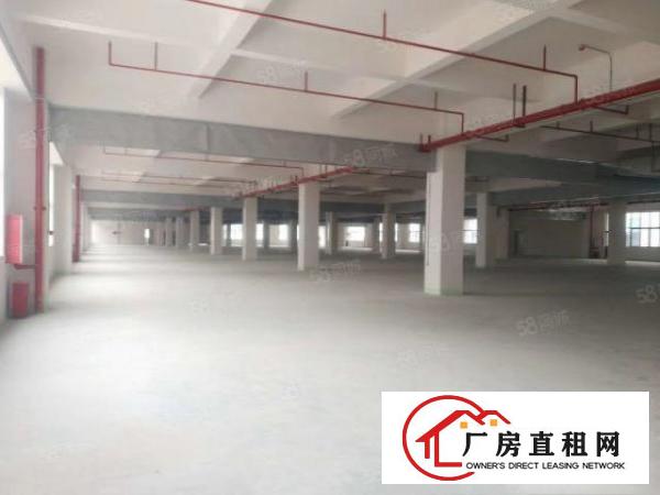  万江新出标准厂房一楼厂房出租