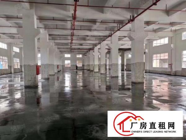  万江新出标准厂房一楼厂房出租