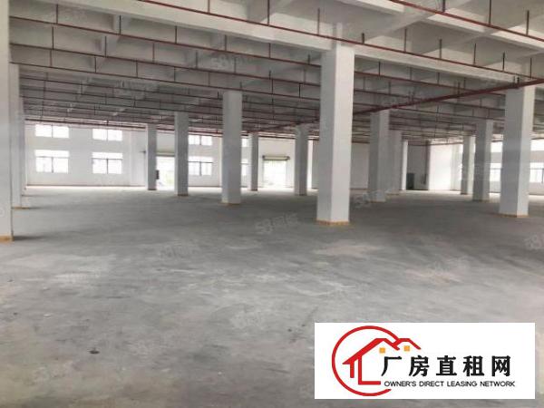  万江新出标准厂房一楼厂房出租