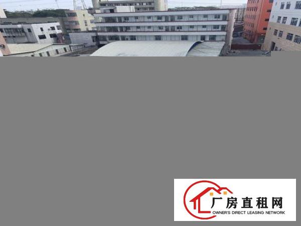  出租漂亮厂房10元一个平方