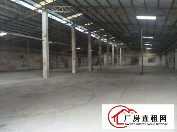  原房东无公摊独门独院单一层配办公宿舍独立变压器厂房