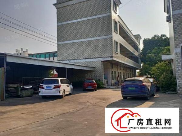  原房东无公摊独门独院单一层配办公宿舍独立变压器厂房
