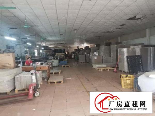  万江严屋原房东单一层铁皮房出租