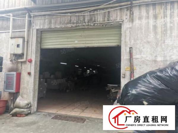  万江严屋原房东单一层铁皮房出租