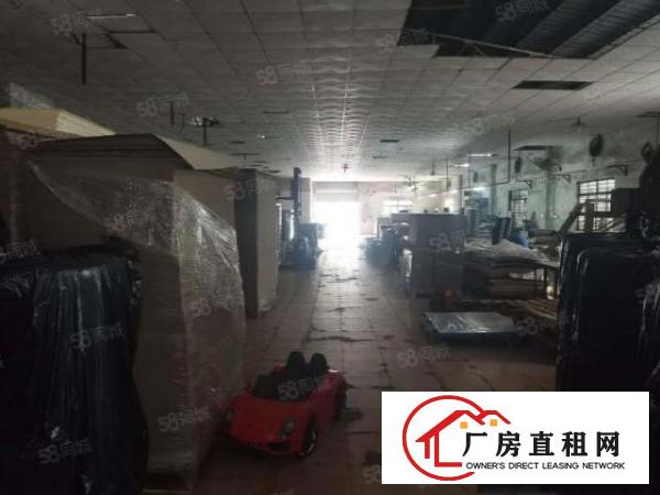  万江严屋原房东单一层铁皮房出租