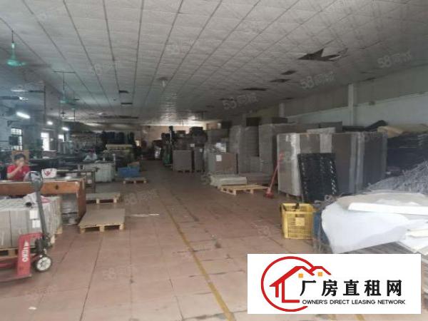  万江严屋原房东单一层铁皮房出租