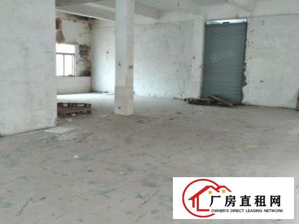  万江刚出小面积厂房800平方带精装修招租