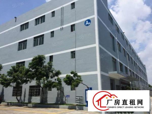  环城路外新出1170方标准厂房招租带现成水电