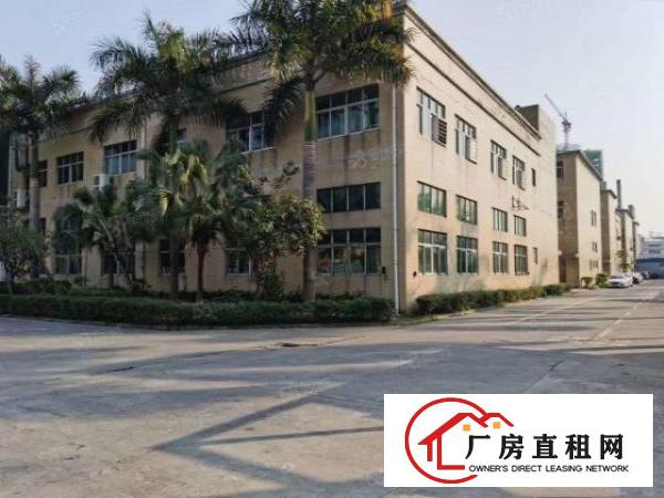  万江新和新出独栋厂房750平，豪华办公室装修
