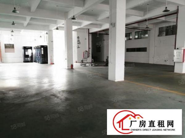  万江大汾一楼标准厂房600平方层高6米厂区空地大可进拖头车
