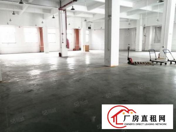  万江大汾一楼标准厂房600平方层高6米厂区空地大可进拖头车