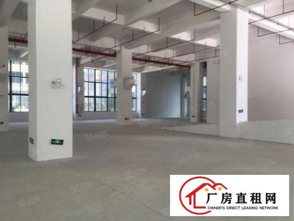  万江新出原房东标准一楼厂房1300方出租