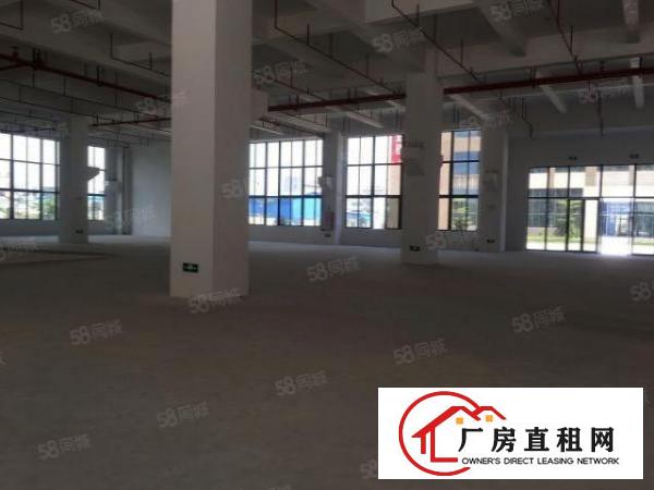  万江新出原房东标准一楼厂房1300方出租