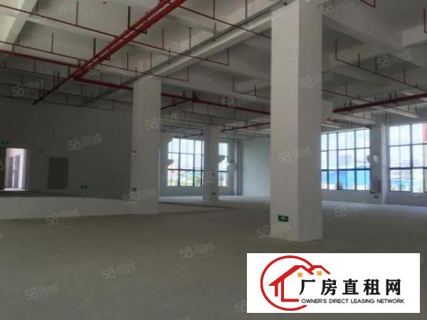  万江新出原房东标准一楼厂房1300方出租