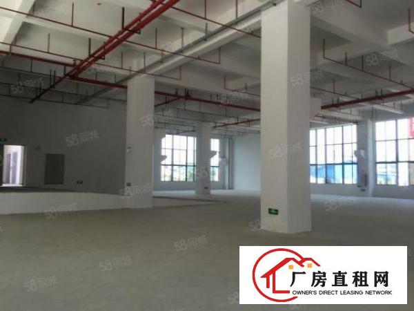 万江新出原房东标准一楼厂房1300方出租