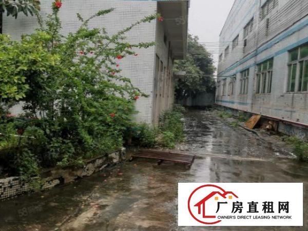  万江靠厚街新出单一层带行车厂房招租