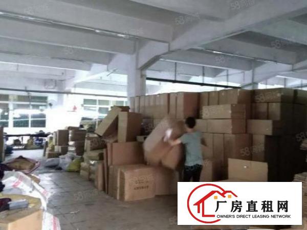  万江石美新出二楼1000平米。无公摊