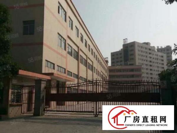  万江石美新出二楼1000平米。无公摊
