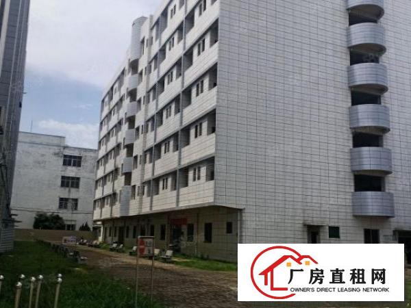  国有红本原房东独门独院空地超大标准花园式厂房