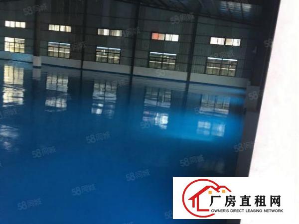  万江新出全新独院单一层厂房招租