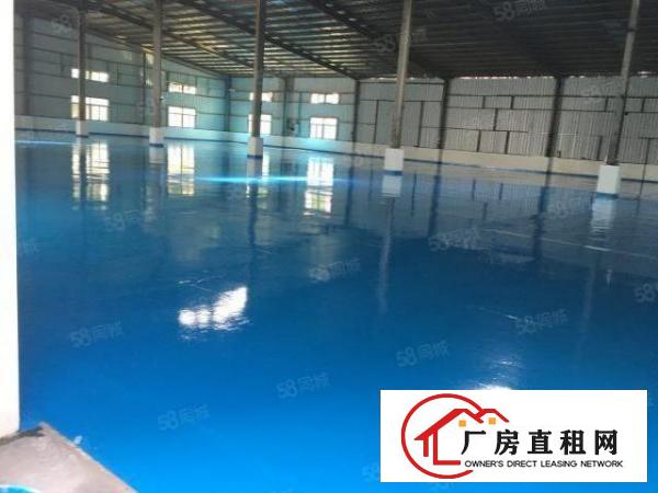  万江新出全新独院单一层厂房招租