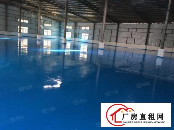  万江新出全新独院单一层厂房招租
