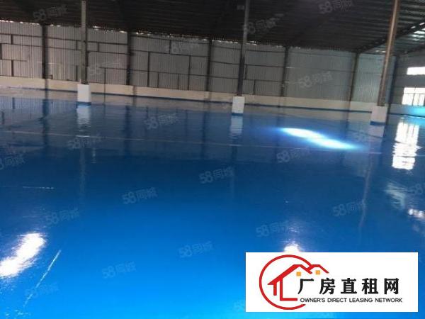  万江新出全新独院单一层厂房招租