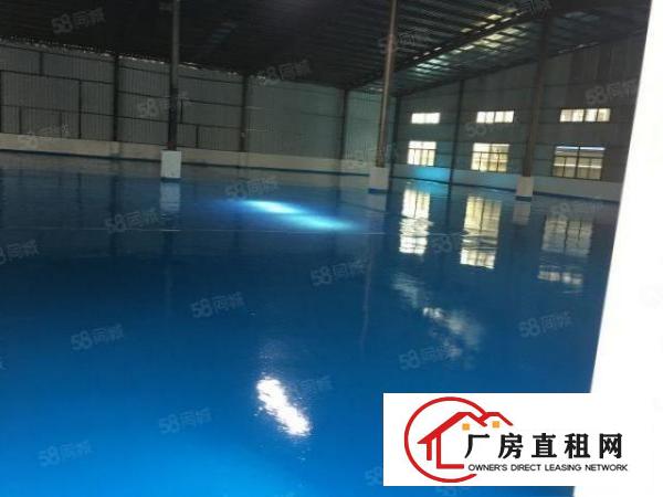 万江新出全新独院单一层厂房招租