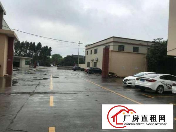  道滘独院单一层钢结构滴水9米带2台5吨行车3100平方厂房出