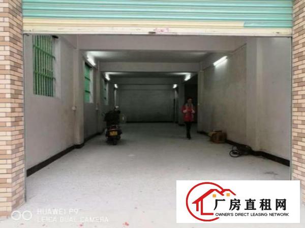  道滘道滘小河沥江围江边下路工场330平米