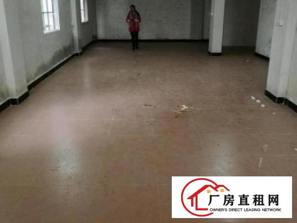  道滘道滘小河沥江围江边下路工场330平米