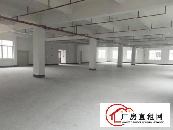  厚德新出二楼1000平方精装修厂房出租