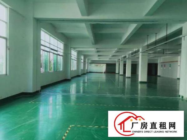  昌平超大前台豪华装修电商电子二楼1400平