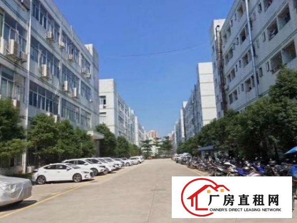  昌平超大前台豪华装修电商电子二楼1400平