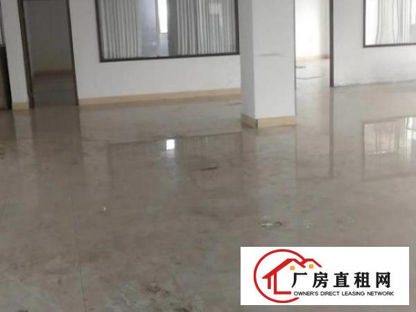  道滘工业用地1800平方厂房招商