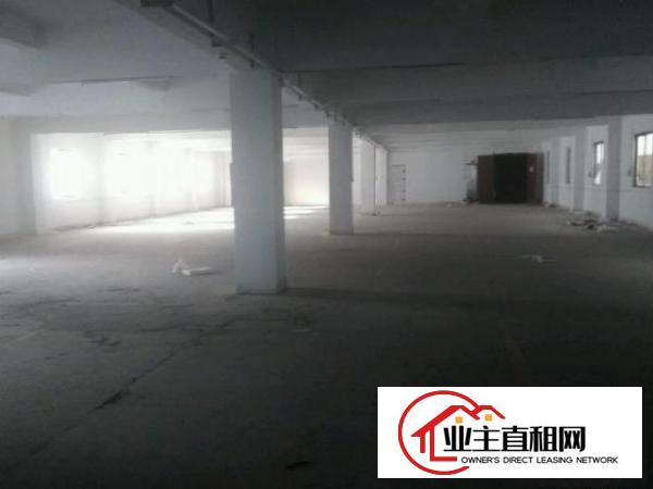  标准厂房原房东二层带货梯