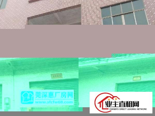  标准厂房原房东二层带货梯