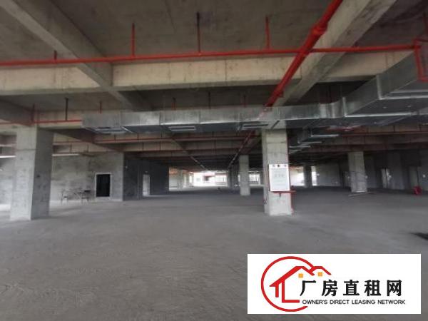  厂房出租单层多层整栋