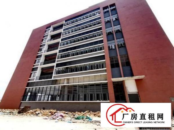  厂房出租单层多层整栋