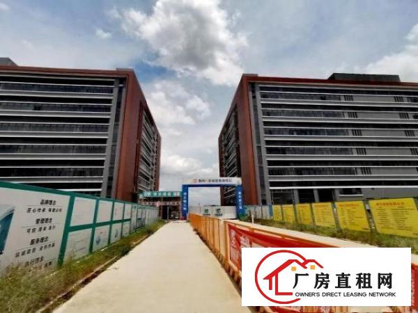  厂房出租单层多层整栋