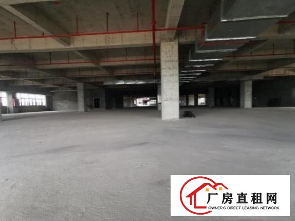  厂房出租单层多层整栋