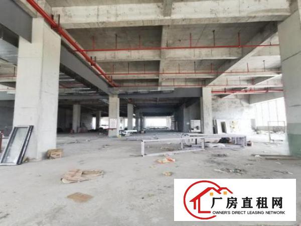  厂房出租单层多层整栋