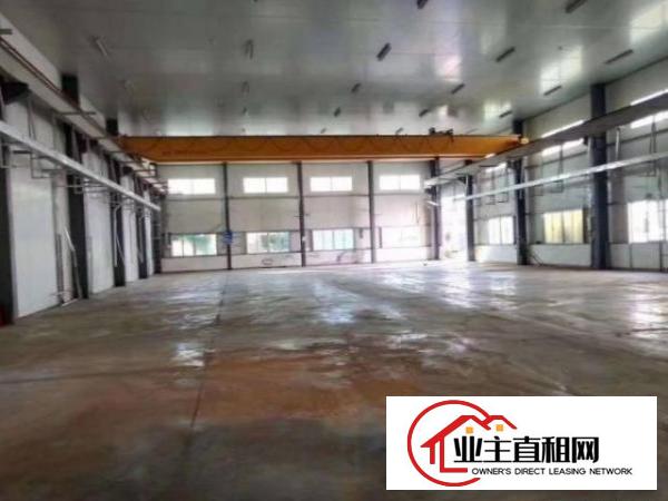  道滘北永村独院单一层厂房出租1000，滴水8米