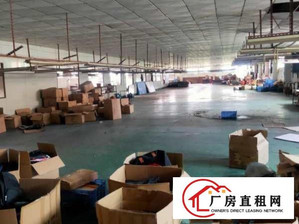  独院厂房出租环境优美出行方便