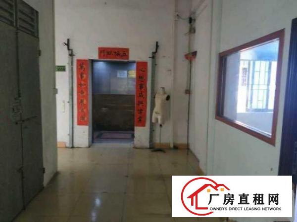 道滘厚德村三楼厂房招租，面积230平