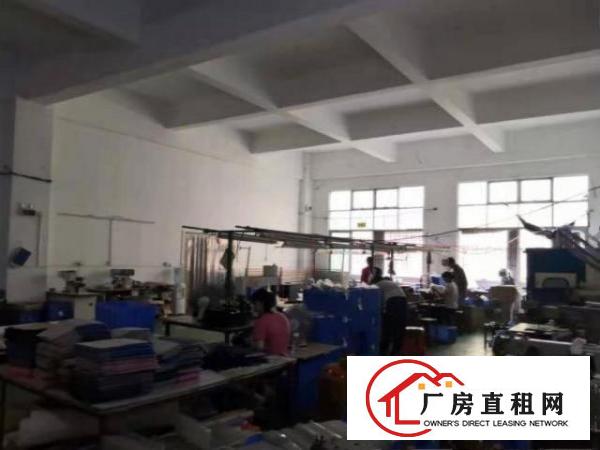  道滘蔡白村厂房一楼650平招租带装修