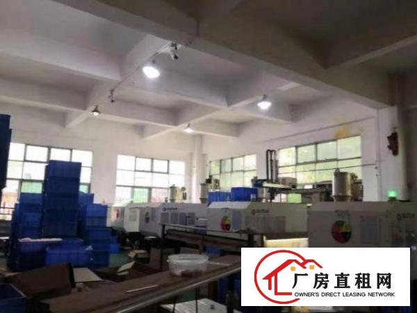  道滘蔡白村厂房一楼650平招租带装修