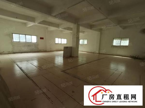  东莞道滘原房东独门独院厂房1200平方