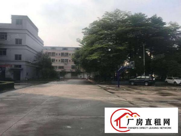  道滘原房东花园式独院标准厂房。